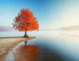 数‍据‍分‌析​软​件​排​行‍榜​